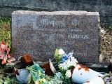 image of grave number 851262